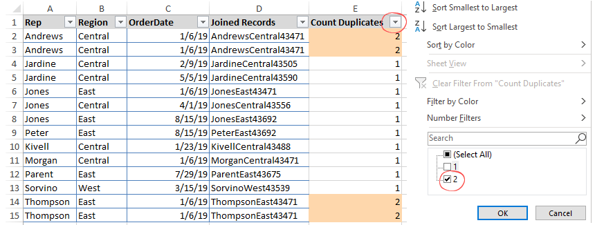 apply-a-filter-to-delete-duplicates